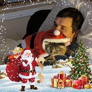 Meet your Posher, Brigitte